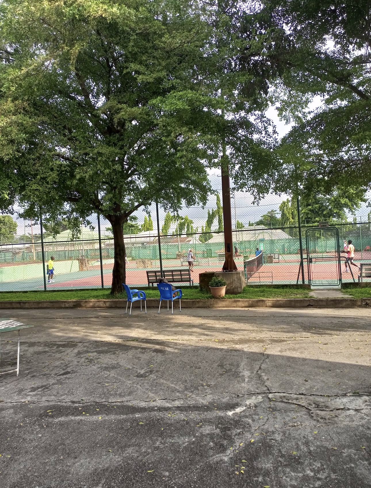 Sports turf